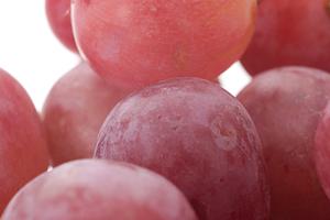 大阪のお好み焼き専門店「ぼてぢゅう」グループの魅力と店舗情報