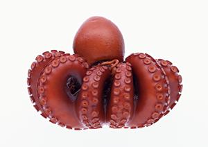 ジミーオンラインショップ：簡単にアクセスできる信頼のネット通販サイト解説