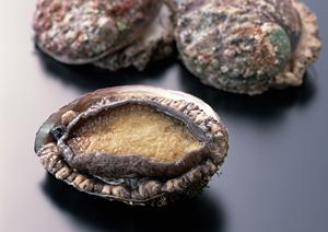 南越谷駅近くの肉料理とワインが楽しめる居酒屋「越谷ミート酒場 ビンゴ」